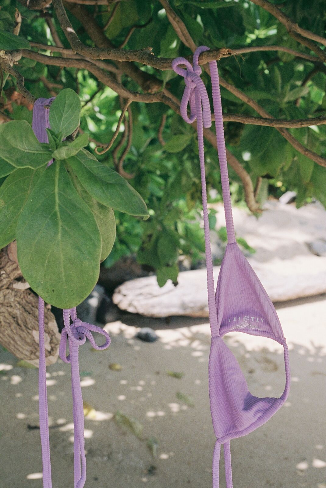 swimwear hanging from a vine